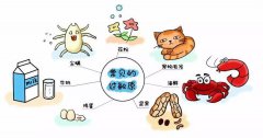小儿过敏性紫癜如何护理更得当?