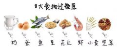 关于过敏性紫癜患者的饮食问题
